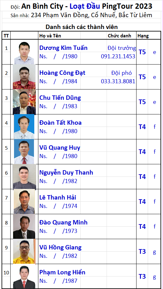09 Đội Anh Bình City.png
