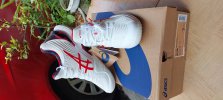 asics the thao tong hop.jpg