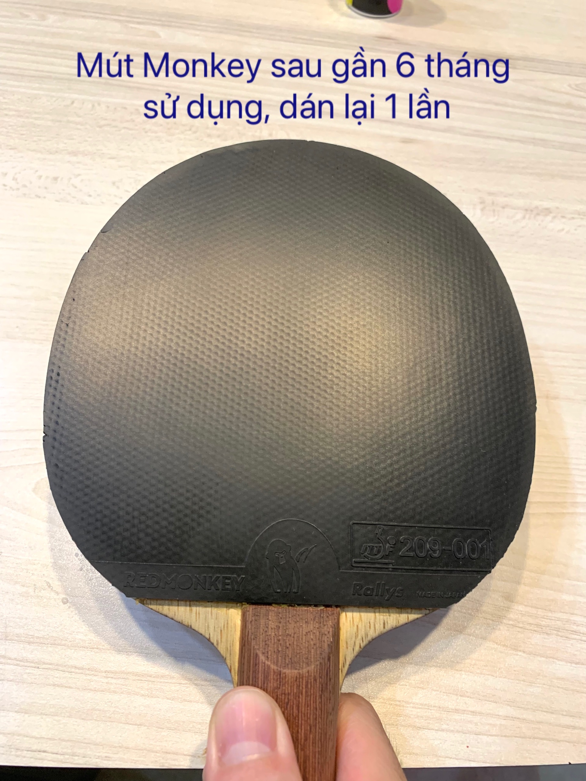 F7BBFD1E-29C9-48AB-B2EA-CF49DDE8C0D1.jpeg