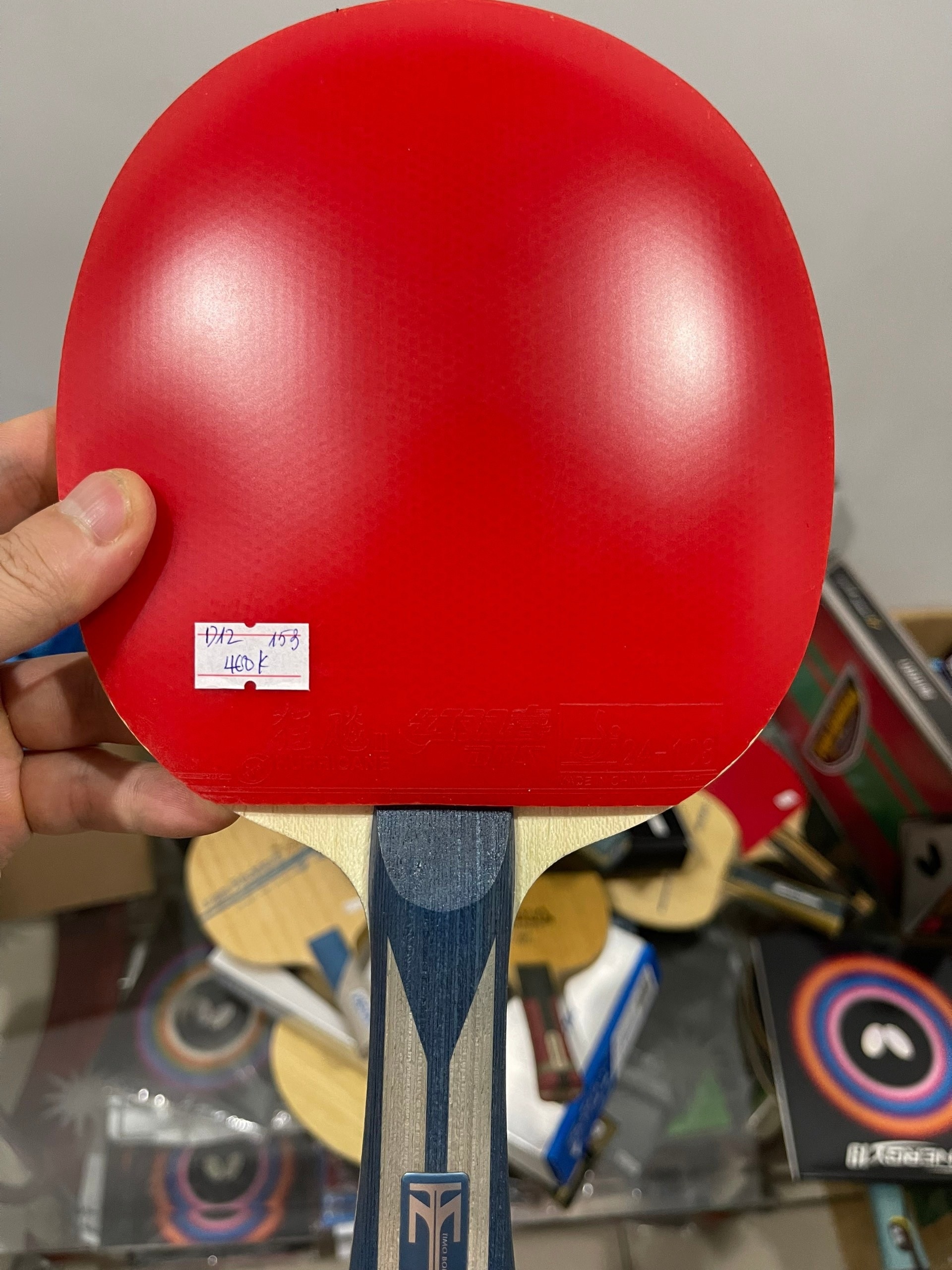 h31.jpg