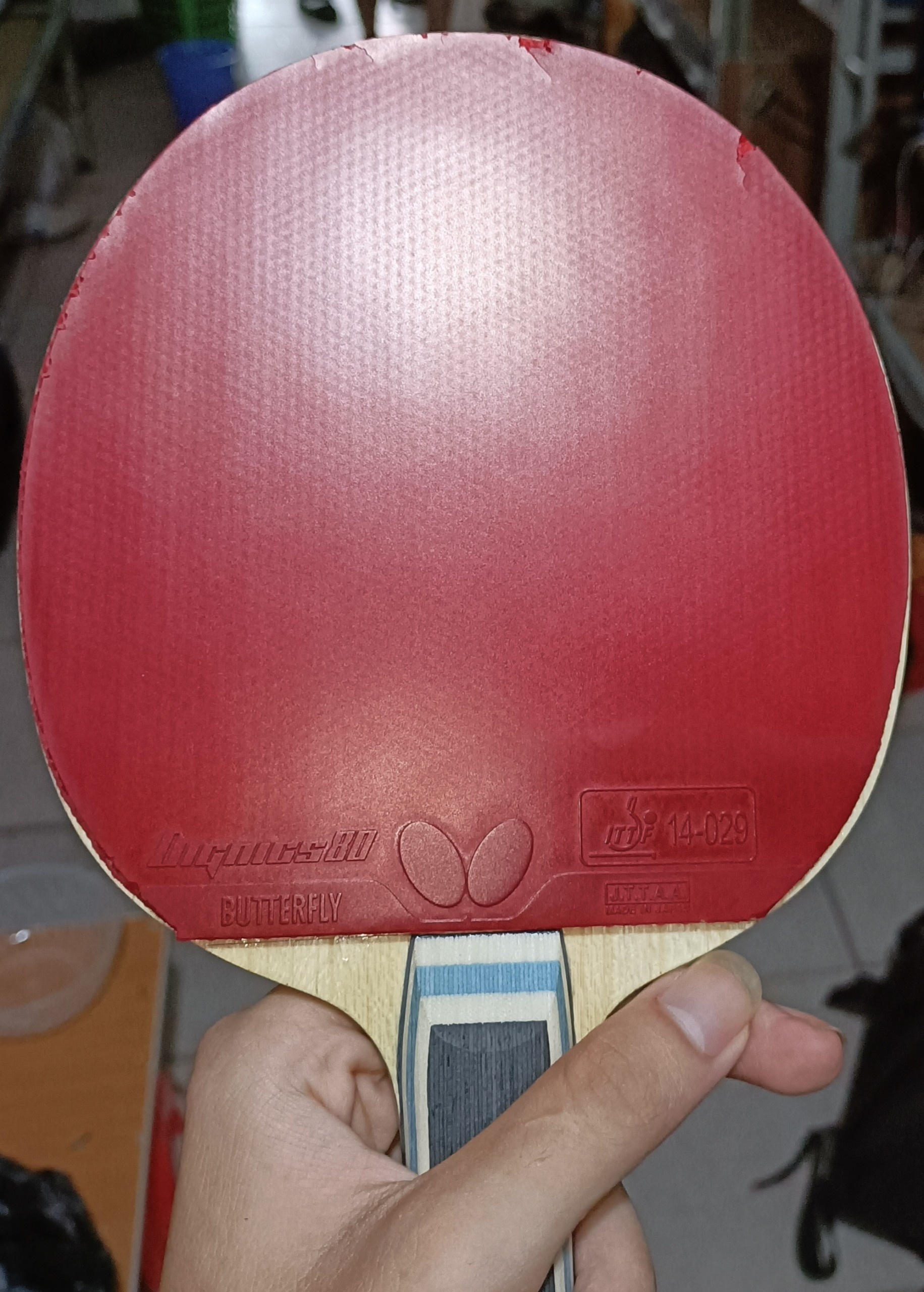 z4418329031015_3dffc6ee150d915fd6645424ba5d9538.jpg