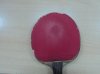 DSC00646.jpg