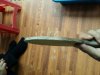 20170325_100200.jpg