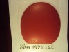 DSC04434.JPG
