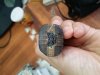 20170607_095230.jpg