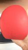 IMG_20190512_110531_BURST1.jpg