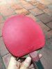 939FF9D7-8D25-4FAD-8437-7DF0E66B71FD.jpeg