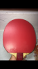 IMG_2236.PNG