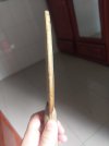 IMAG0009.jpg