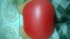 WP_20140629_008.jpg