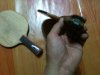 Picture 008.jpg