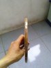 CAM01166.jpg
