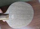 PXL_20230322_063728249.jpg