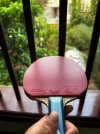 IMG_0795.jpeg