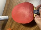 IMG_4017.jpeg