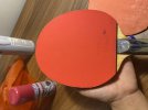 IMG_4019.jpeg