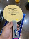 IMG_5550.jpeg