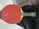 IMG_8515.jpeg