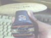 IMG0232A.jpg