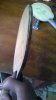 WP_20140323_010.jpg