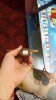 20141130_123036.jpg