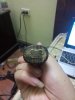 IMG20141215204843.jpg