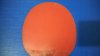 WP_20140324_012.jpg