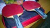 WP_20140331_003.jpg