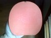 IMG-20150507-00646.jpg
