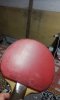 20160104_2158525.jpg