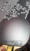 20160108_0849465.jpg