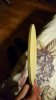 20160313_221900.jpg