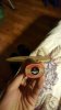 20160313_221907.jpg