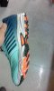 IMG_20160404_162302.jpg