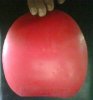 Picture 001.jpg
