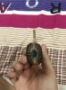 IMG_20160522_200750.jpg