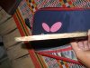 DSCN0499.JPG