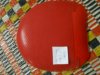 DSCN0526.JPG