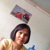 Tên lăng họ đỗ