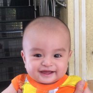 anhoang