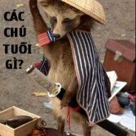 Thang_Z175