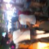 trung ls