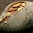 michaelnguyenseo166